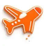 Airplane Cookie 