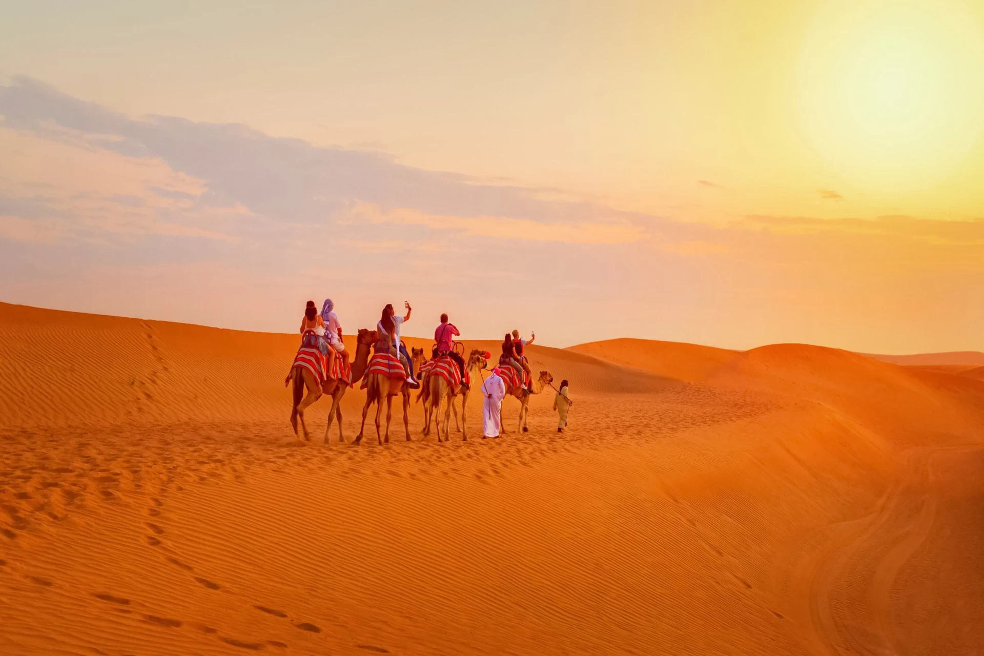 A serene image of four camels being led through the desert on a trek.