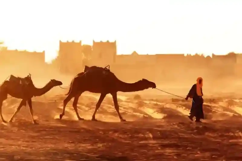 The Morocco Travel Guide