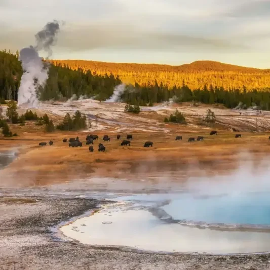 Usa yellowstone national park thumb