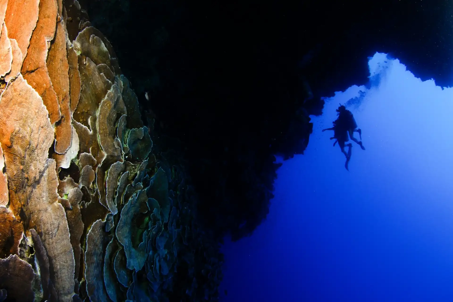A diver pictured in the famous Blue Hole in Dahab.