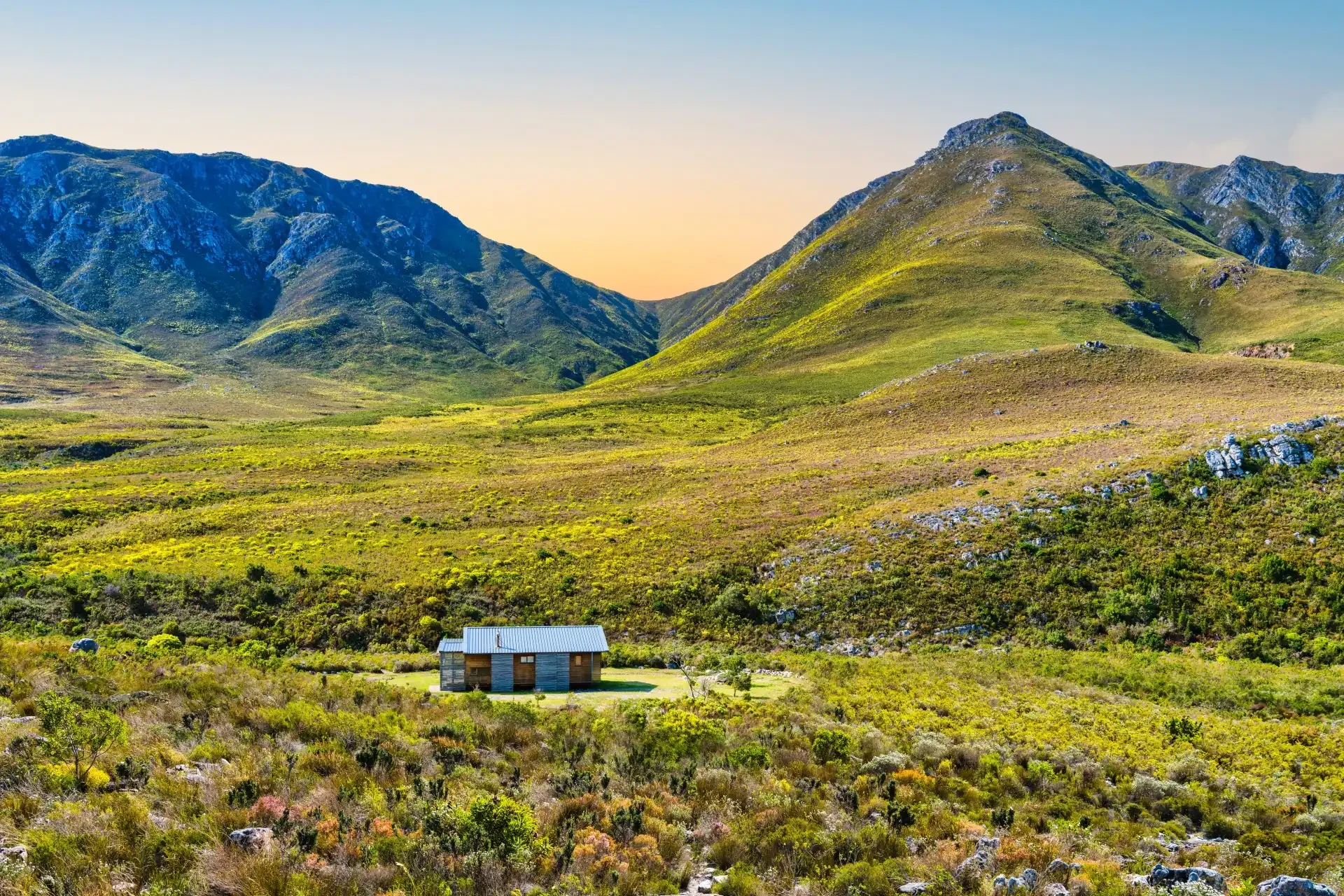 Spring cape town