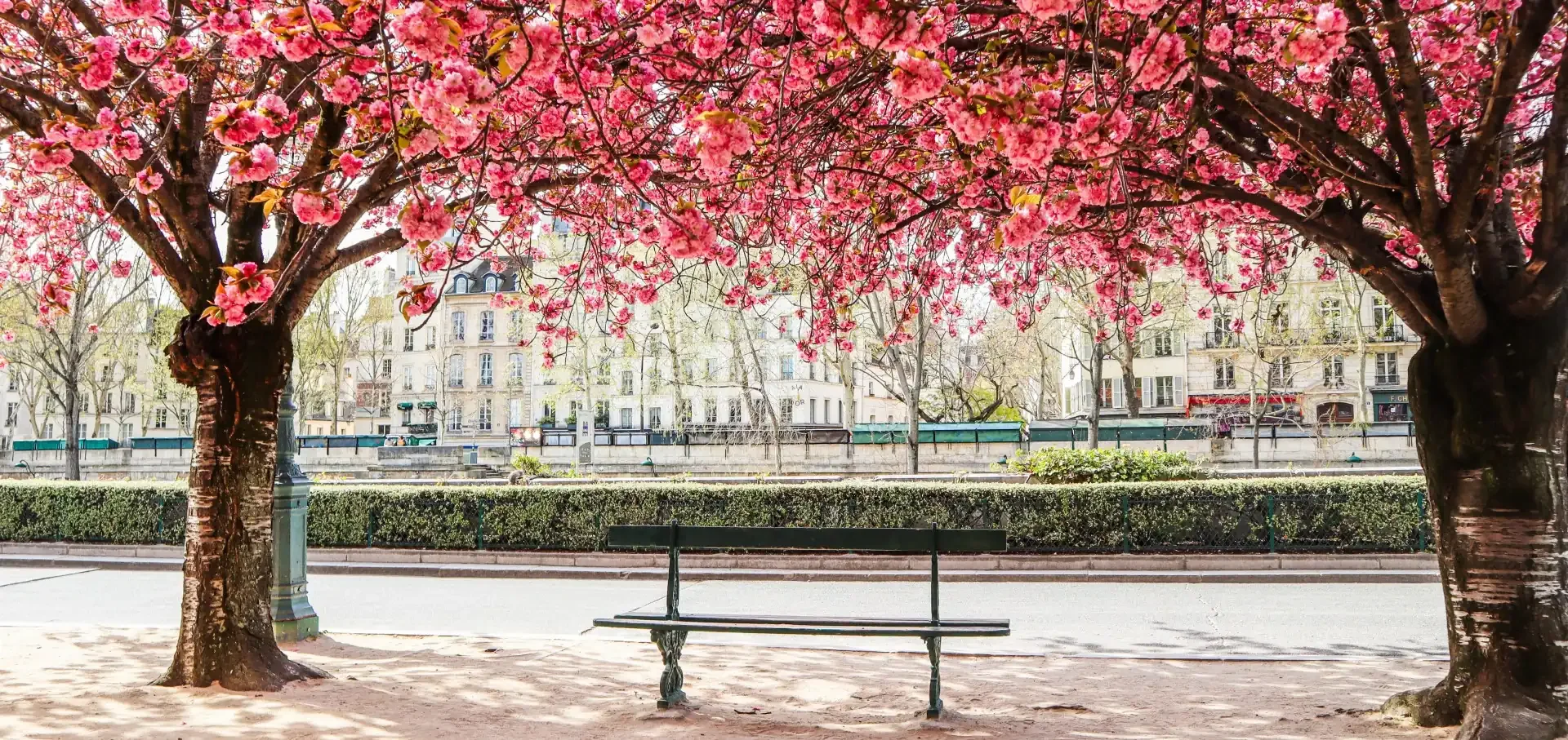 Where is the best place to visit in spring? | easySim