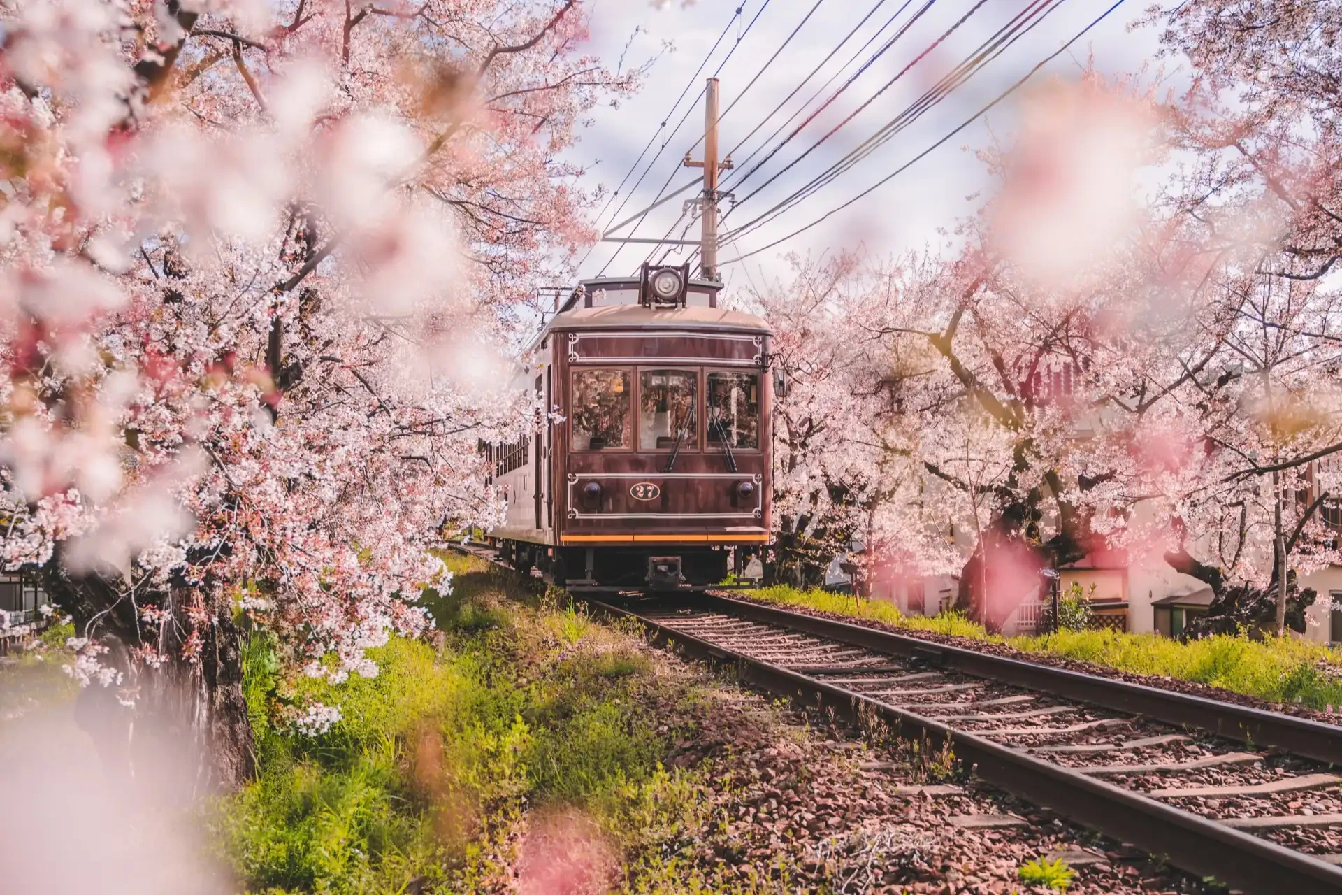 Spring kyoto