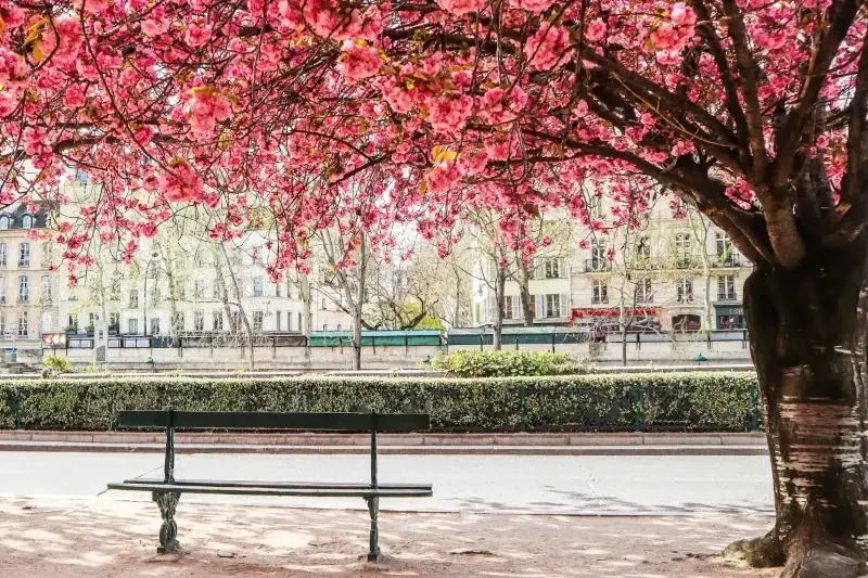 The best places to visit in spring