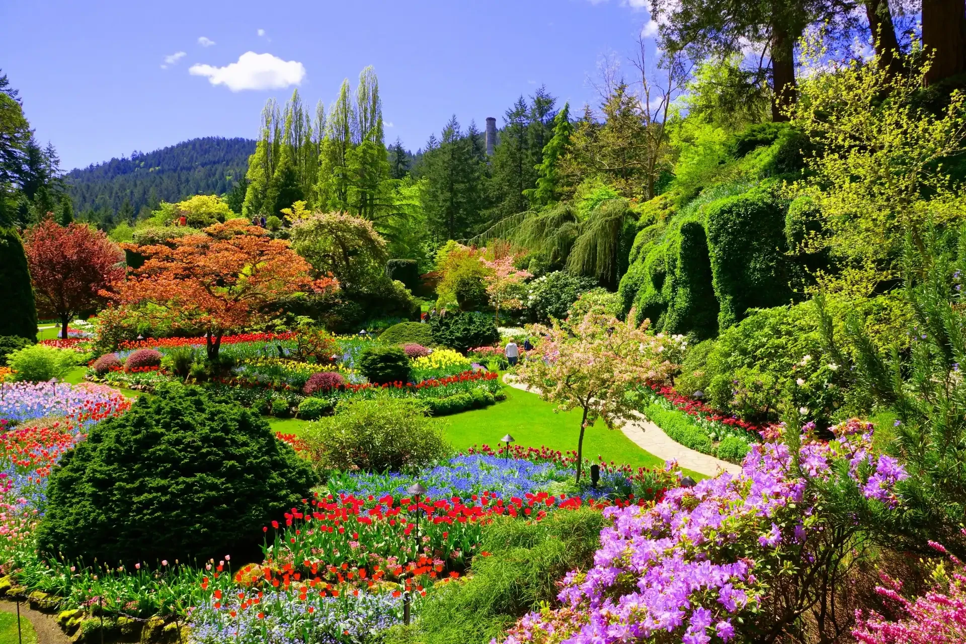 Butchart Gardens in Victoria on Vancouver Island during spring, a blooming floral paradise.