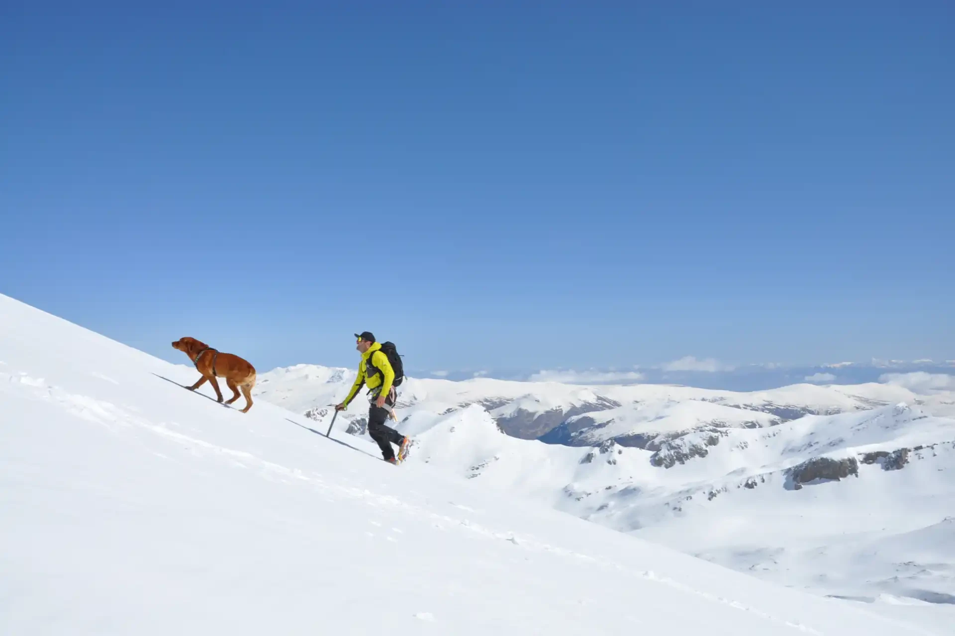 Bobby and red climbing snowy mountain