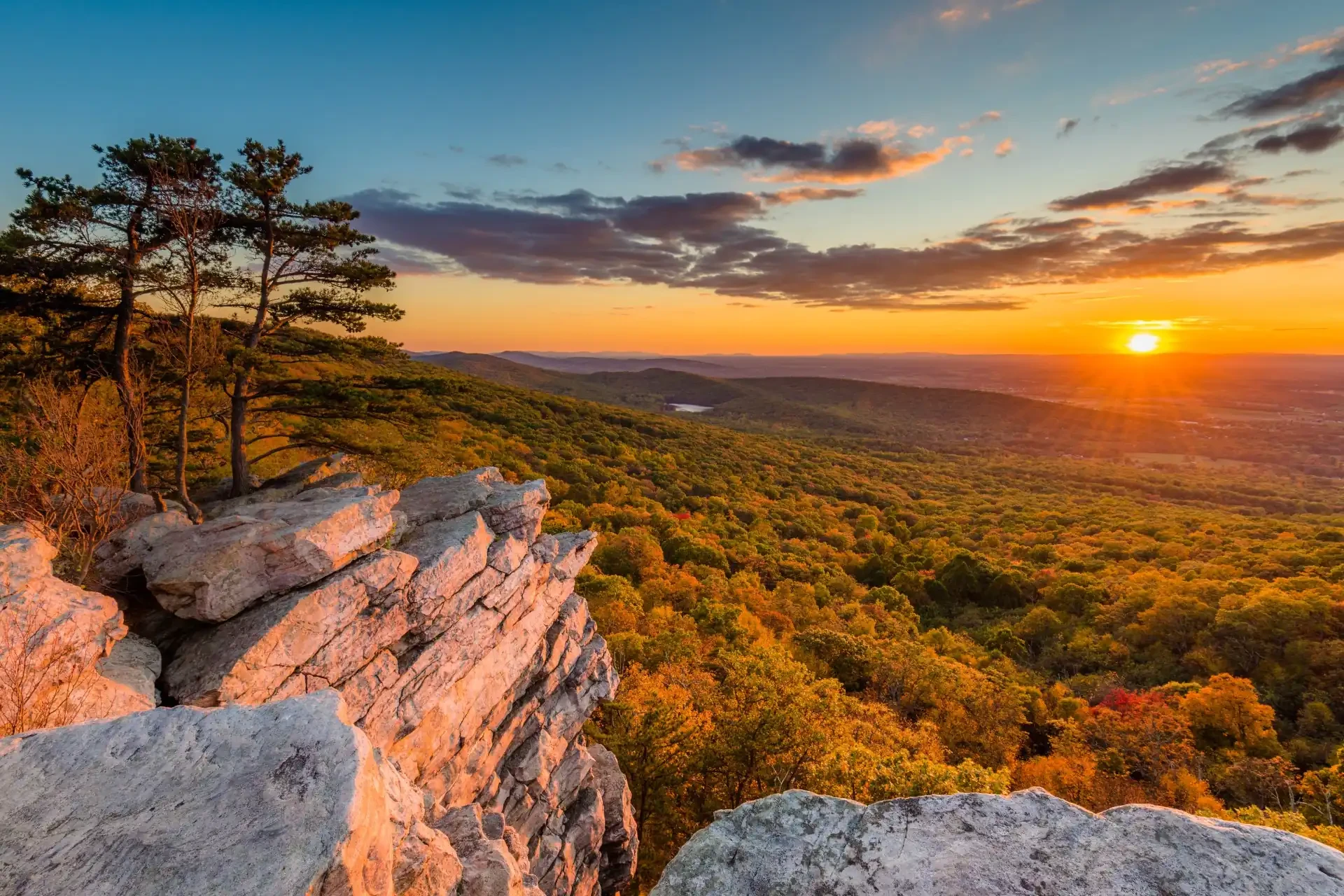 The Appalachian Trail featuring lush forest and mountainous terrain in the background.