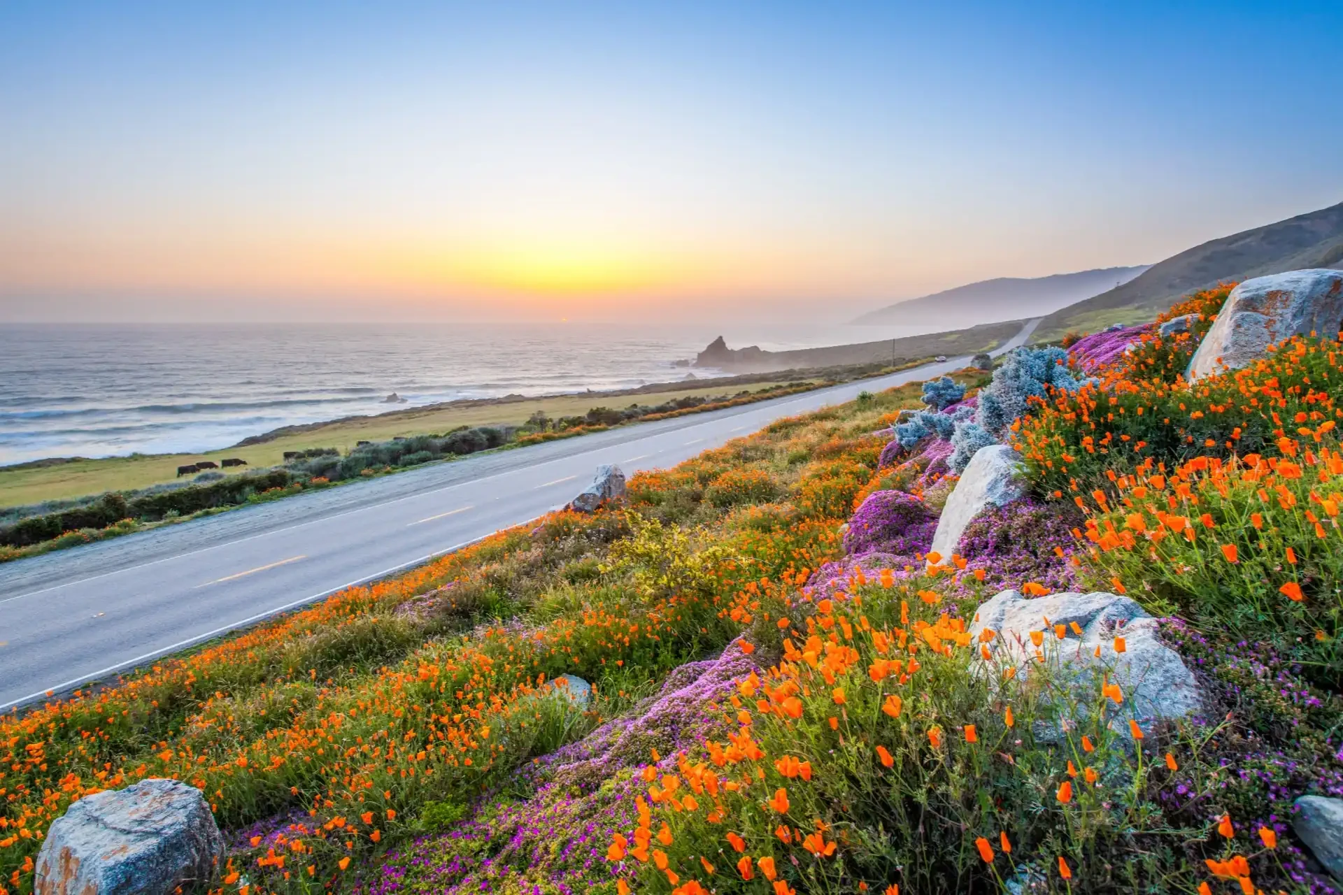 A scenic view of Big Sur's coastline with cliffs and colourful spring wildflowers next to the Pacific Ocean.