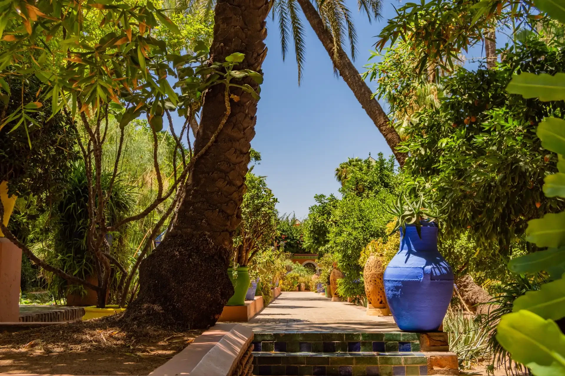 A scenic view of the Majorelle Garden with an oversized cobalt blue vase and lush greenery.