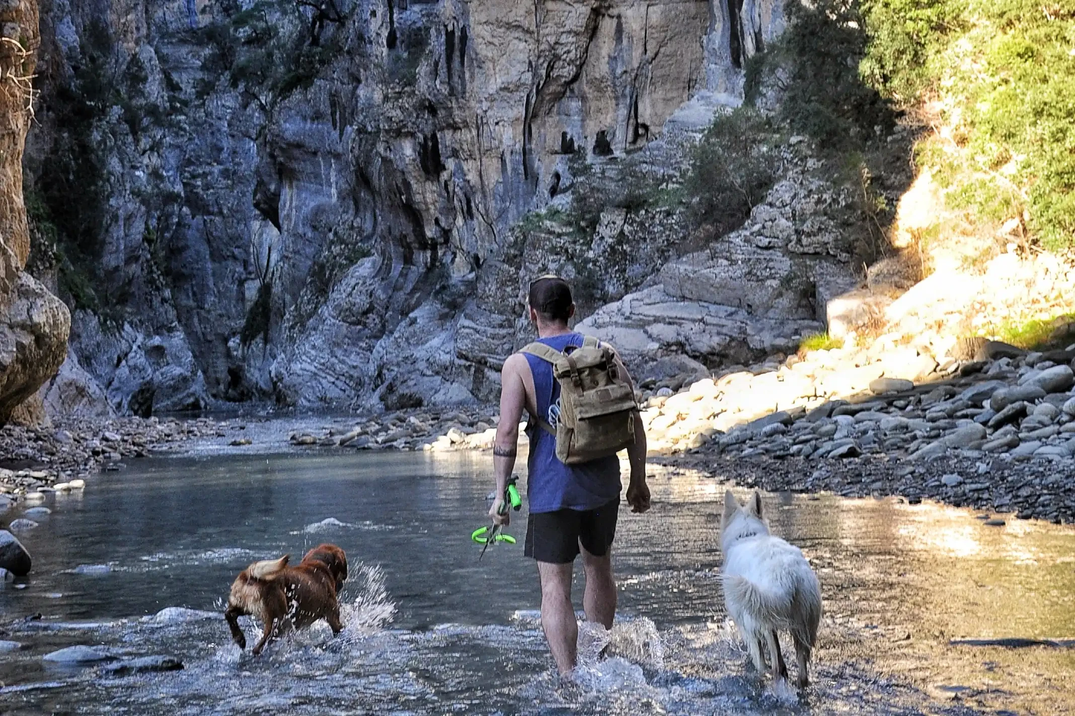 Bobby with dogs by cliff and stream