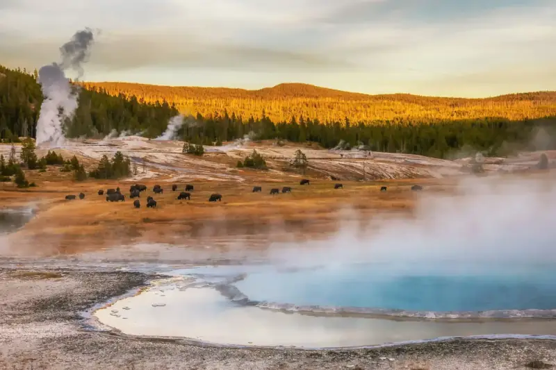 Usa yellowstone national park thumb