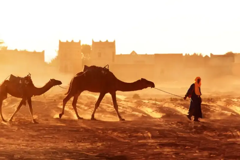 Morocco header thumb